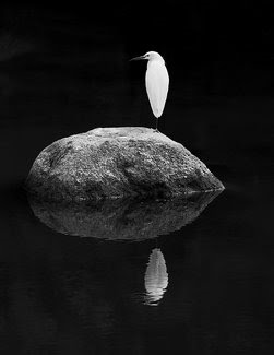 This image has an empty alt attribute; its file name is image-16.png