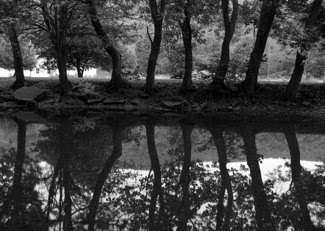 This image has an empty alt attribute; its file name is image-21.png