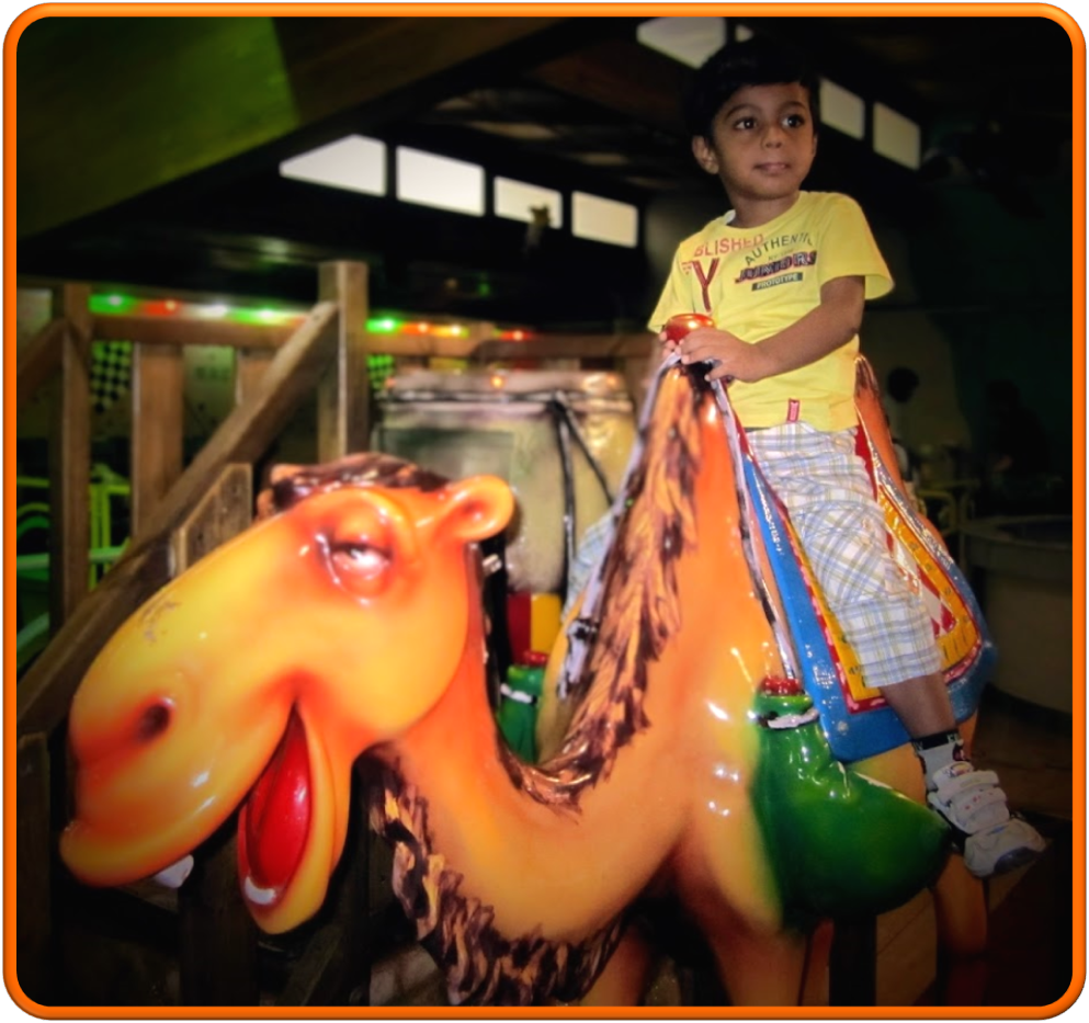 The Camel rider – Beautiful Life